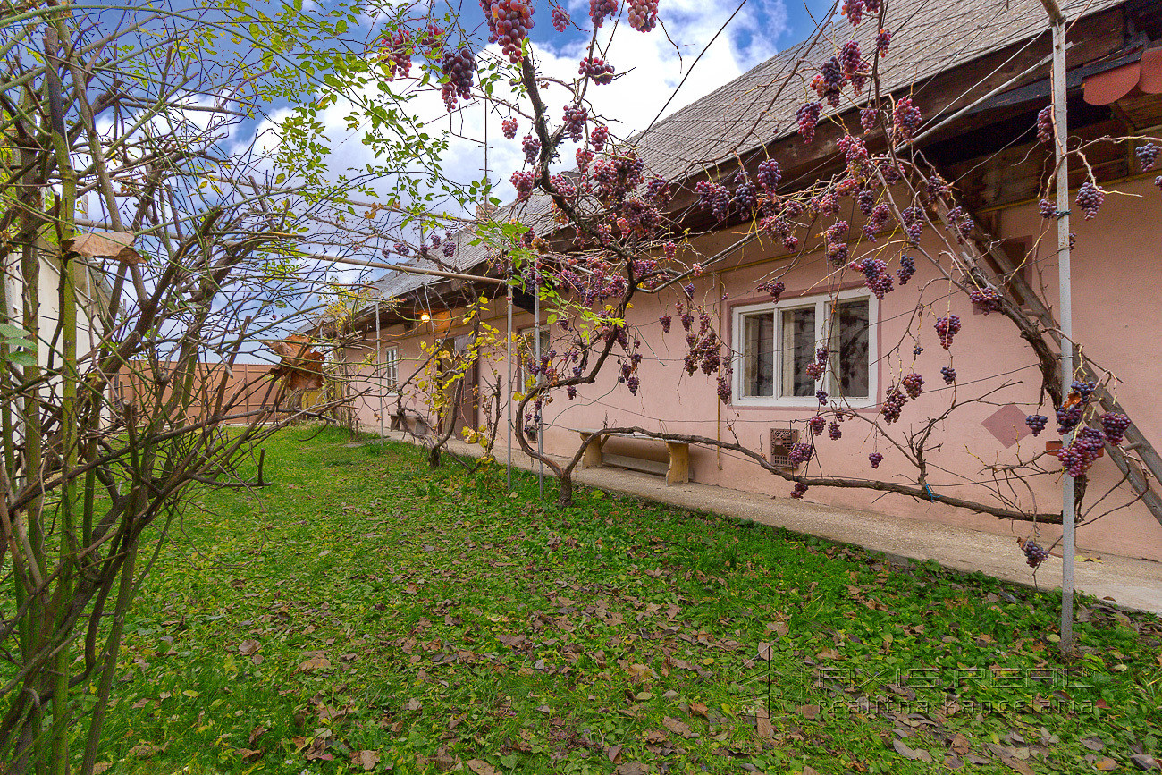 Vidiecky dom v tichom centre, Sládkovičovo, Fučíkova ul.