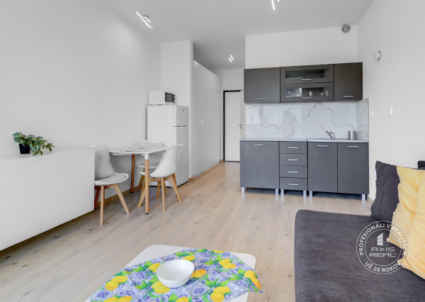 Rent Studio with loggia, great location, Nove Mesto, Bratislava 
