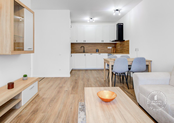 Rent One bedroom apartment, One bedroom apartment, Michala Bučiča, Bra