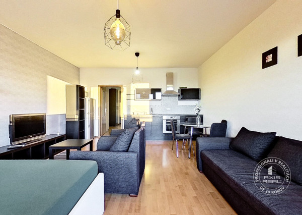  Spacious Studio, GARAGE, BALCONY, Vyšehradská street