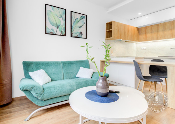  Zariadený 1,5-izbový byt, samostatná spálňa, Hronská 