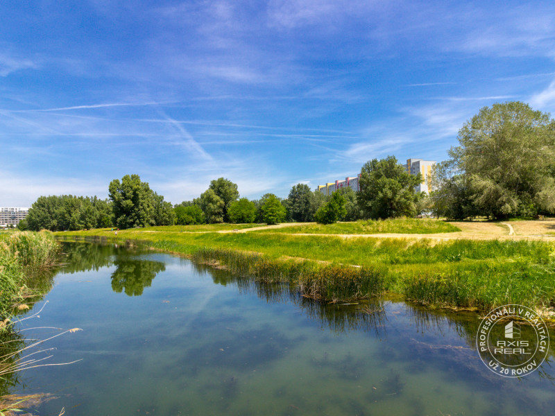 3-izbový byt, PÔVODNÝ STAV, BA V. Petržalka, Romanova