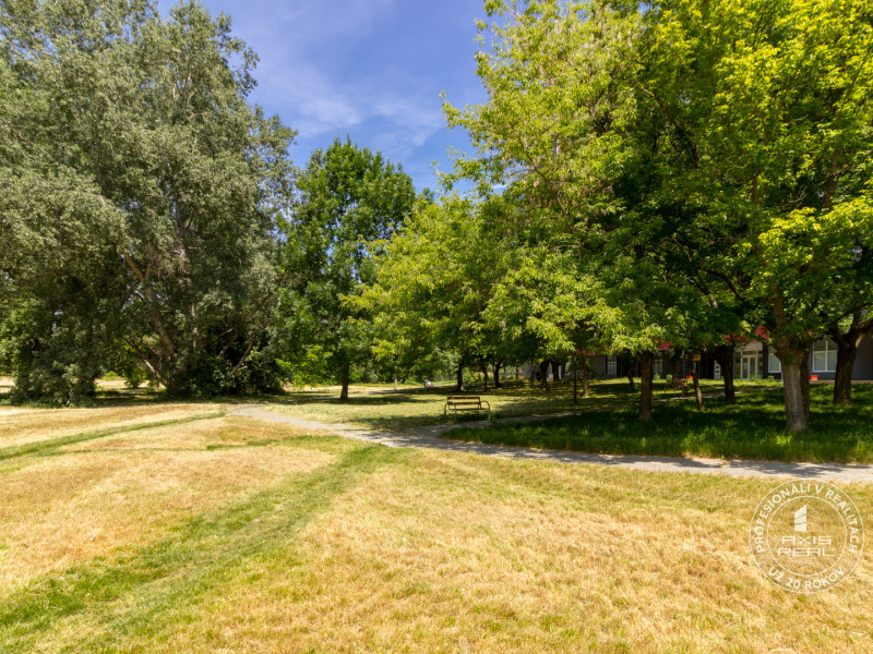  3-izbový byt, PÔVODNÝ STAV, BA V. Petržalka, Romanova