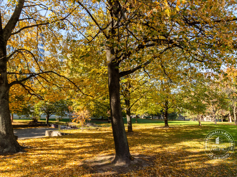  3i byt s potenciálom v pôvodnom stave, Ružinov, Družicová