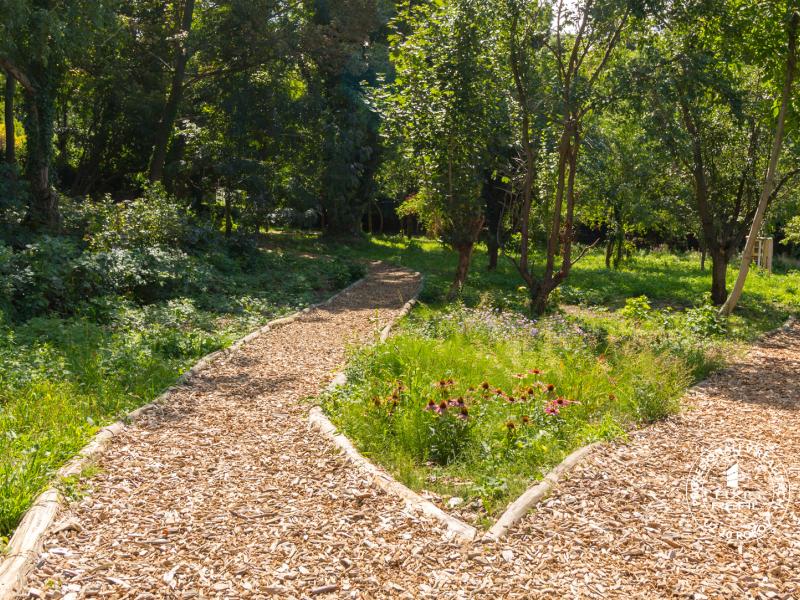  Nebytový priestor - kancelária, BA I. Staré Mesto F. Kráľa