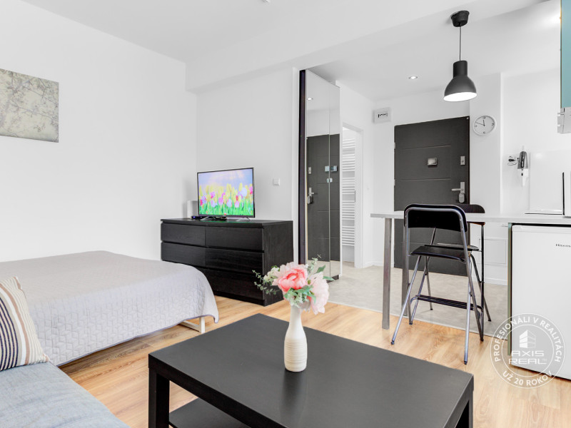  1-izbový byt pri BRATISLAVSKOM HRADE