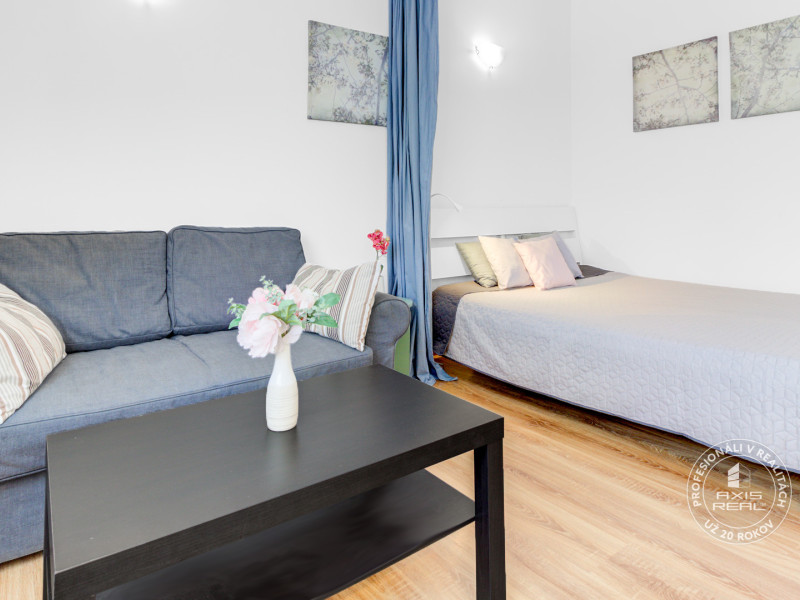  1-izbový byt pri BRATISLAVSKOM HRADE