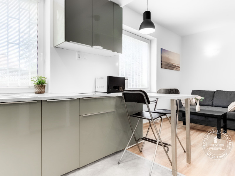  1-izbový byt pri BRATISLAVSKOM HRADE