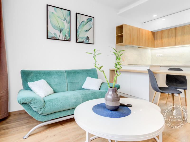  Zariadený 1,5-izbový byt, samostatná spálňa, Hronská 