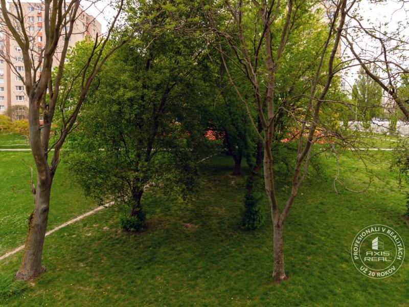  3-izbový byt pri Chorvátskom ramene s výhľadom do zelene