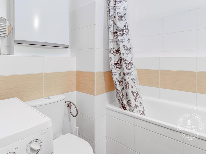 Rent One bedroom apartment, One bedroom apartment, Kaštieľska, Bratisl