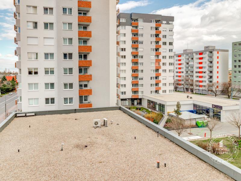 Rent One bedroom apartment, One bedroom apartment, Kaštieľska, Bratisl
