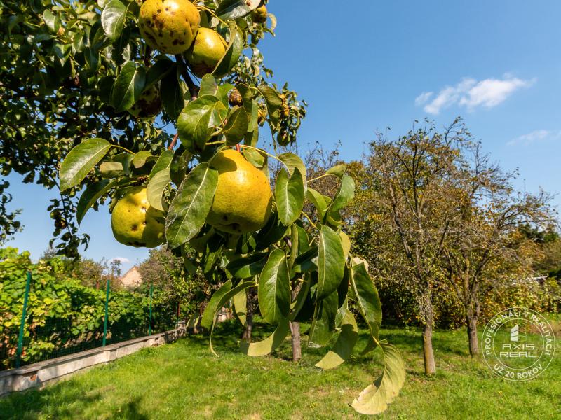  2-podlažný rodinný dom, veľká záhrada, garáž - obec Kaplna